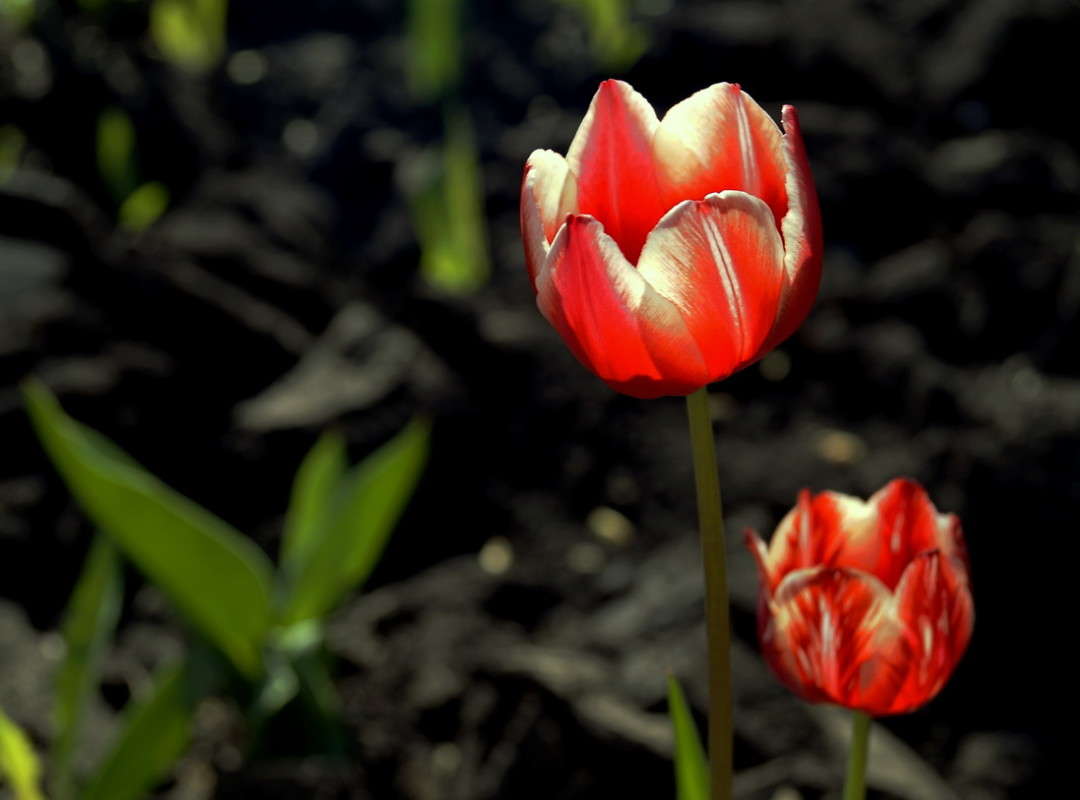 ��������� �������� ����� ������  �� PhotoGeek.ru #������ ��� �������