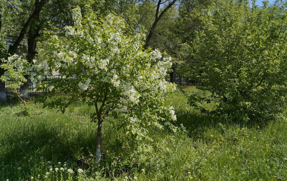 �������� ����� ������  �� PhotoGeek.ru #������ ��� �������