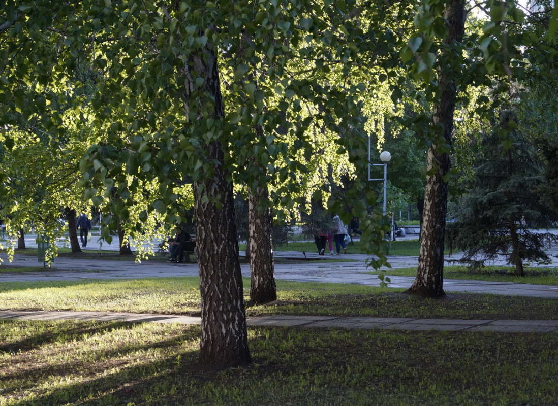 ������� ����� ����� ������  �� PhotoGeek.ru #����� #������ ��� �������