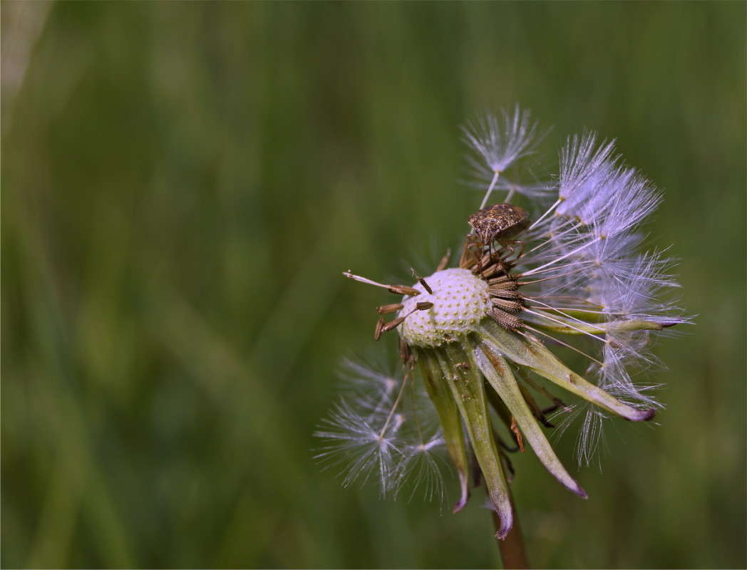 ������� ��������� ����� ������  �� PhotoGeek.ru #������ ��� �������