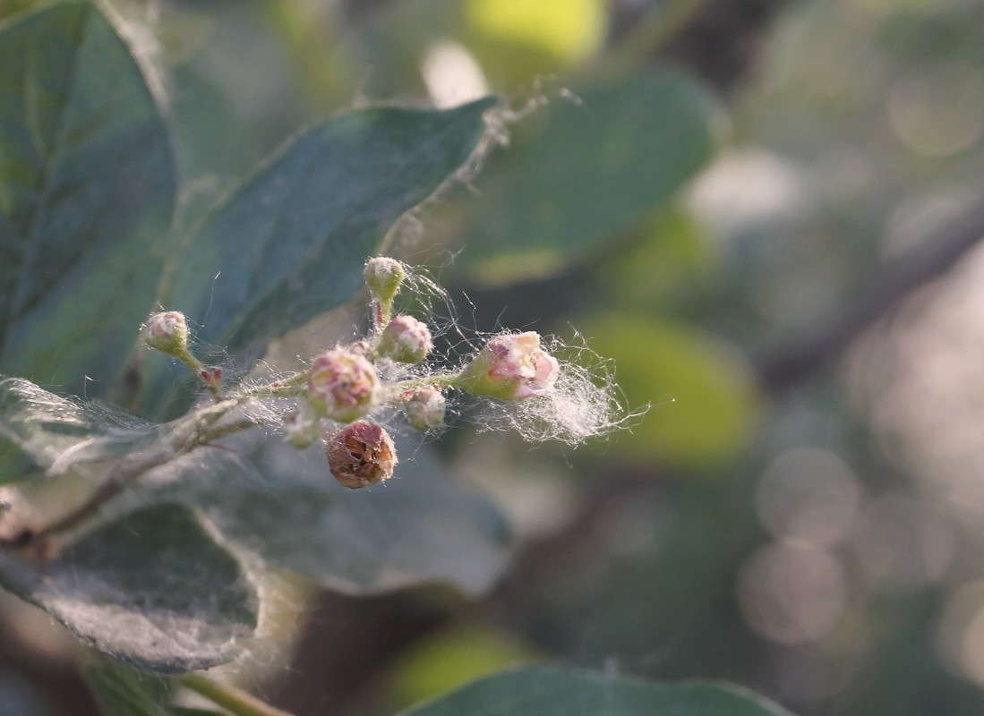 �������� ��� ����� ������  �� PhotoGeek.ru #������ ��� �������