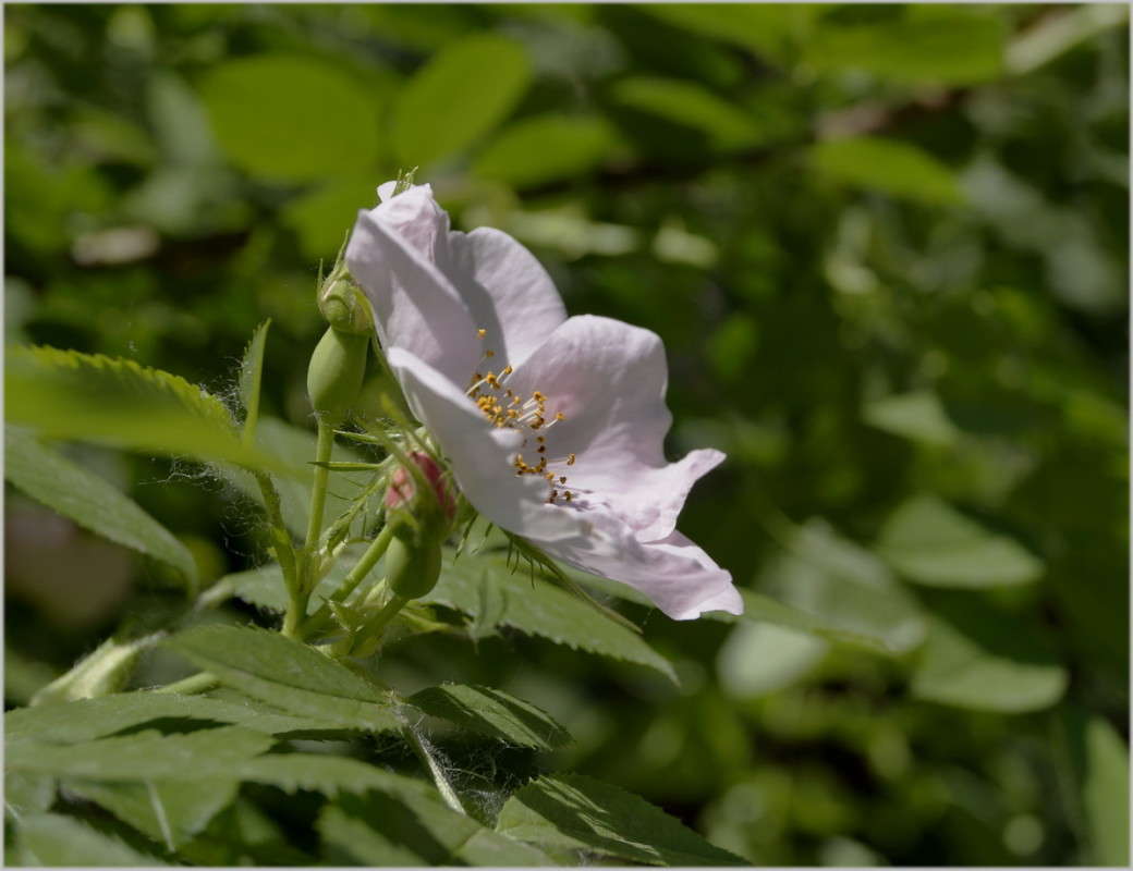 ������ �������� ����� ������  �� PhotoGeek.ru #������ ��� ������� #����� ��������������