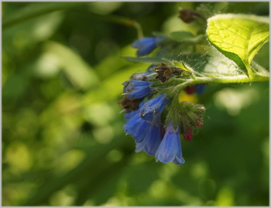 ���� ����� ������  �� PhotoGeek.ru #������ ��� �������