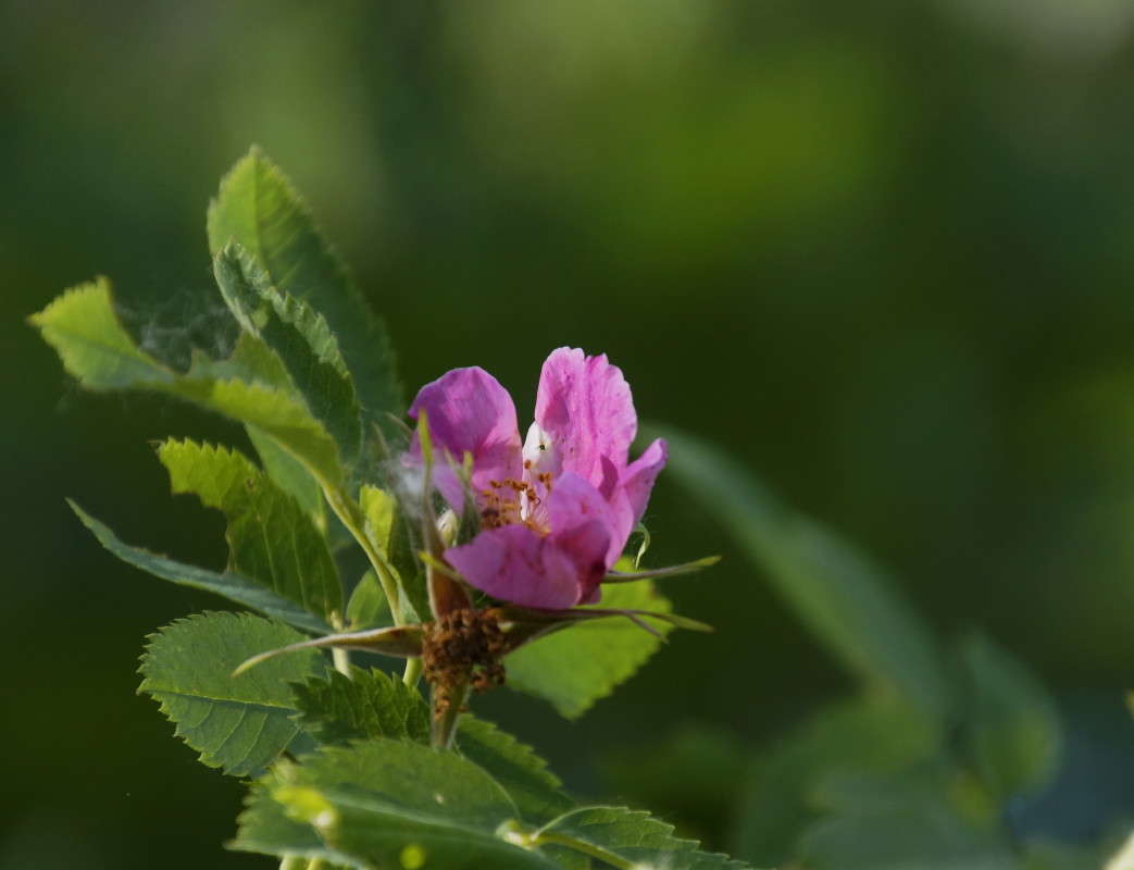 �������� ����� ������  �� PhotoGeek.ru #������ ��� �������