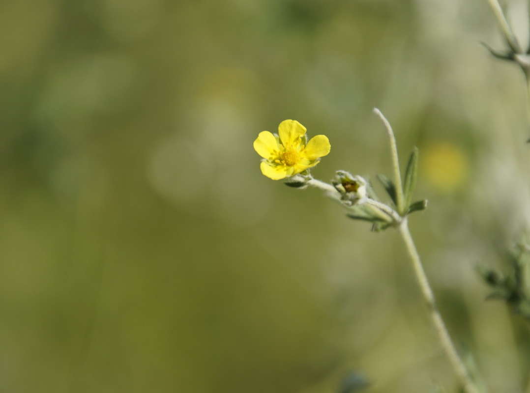 ��������� ����� ������  �� PhotoGeek.ru #������ ��� �������