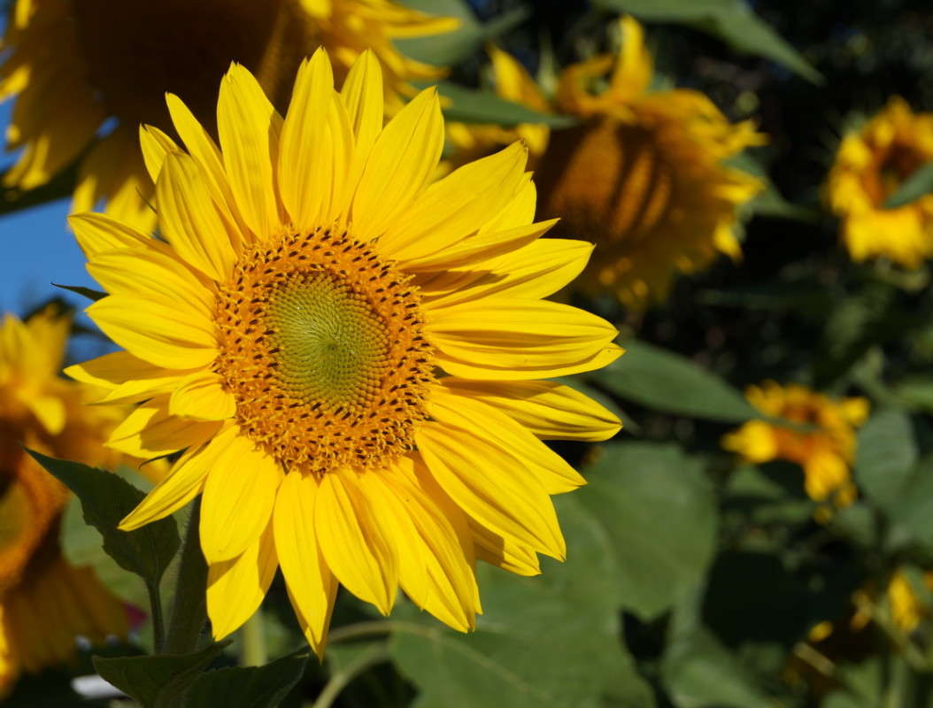 ������ ������� ����� ������  �� PhotoGeek.ru #������ ��� �������