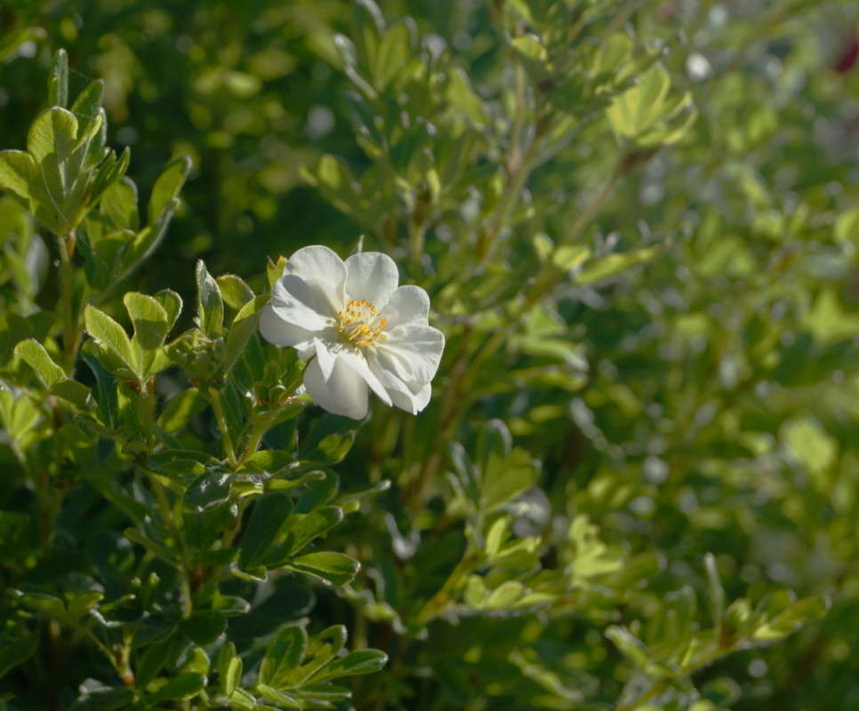 ���� ����� ������  �� PhotoGeek.ru #������ ��� ������� #����� ��������������