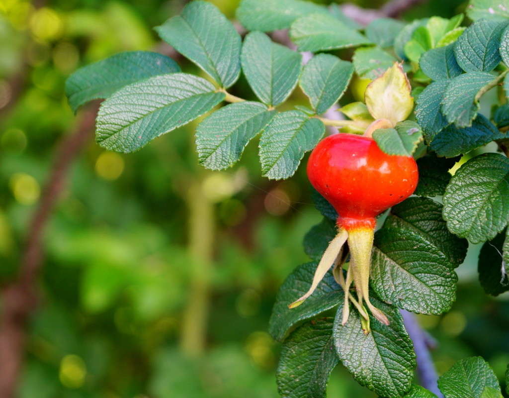 ������� ����� ������  �� PhotoGeek.ru #������ ��� �������