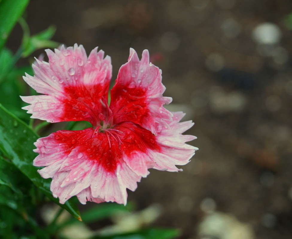 ���� ����� ����� ������  �� PhotoGeek.ru #������ ��� �������