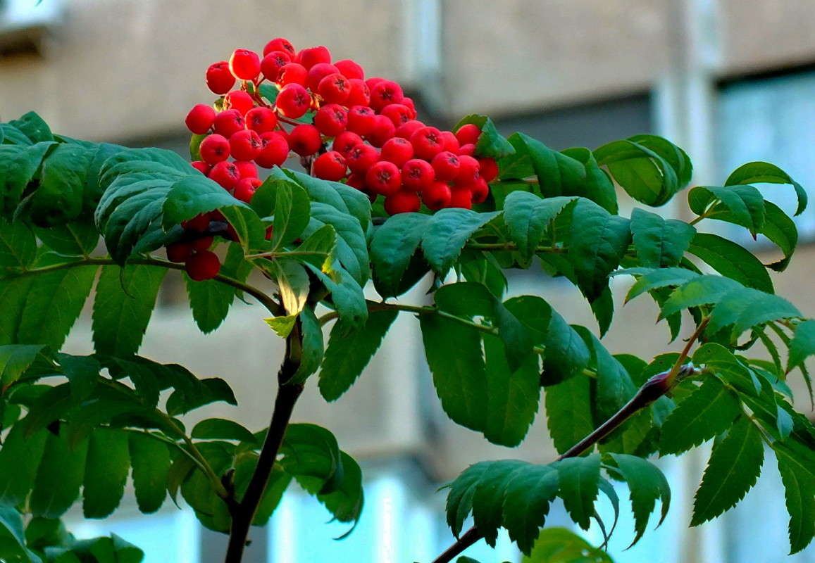 � ��������� ����� ����� ������  �� PhotoGeek.ru #������ ��� �������