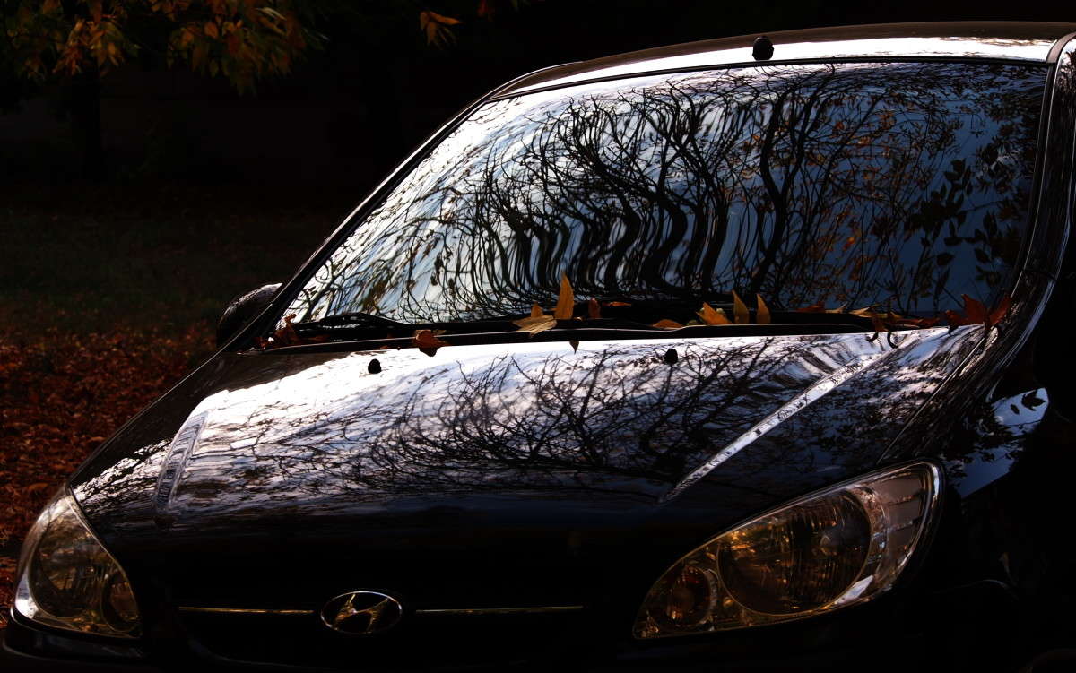 ��������� ����� ����� ������  �� PhotoGeek.ru #����� #��������� ������ #�����-���