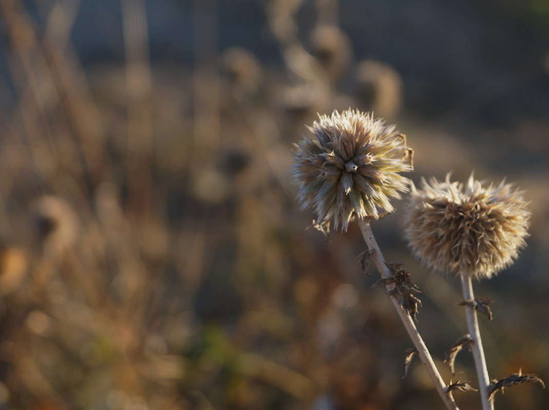 �������� ����� ������  �� PhotoGeek.ru #������ ��� ������� #����� �������������� #����� ��������