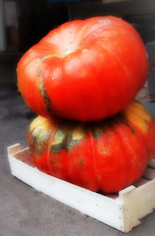 �����  ��������� ����� ������  �� PhotoGeek.ru #������ ��� �������