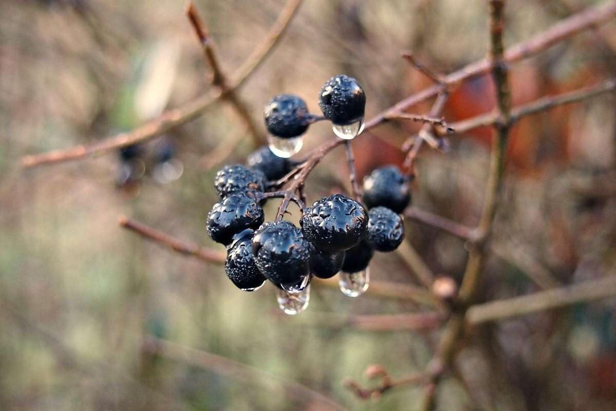 ����� ����� ������  �� PhotoGeek.ru #������ ��� ������� #����� ��������������