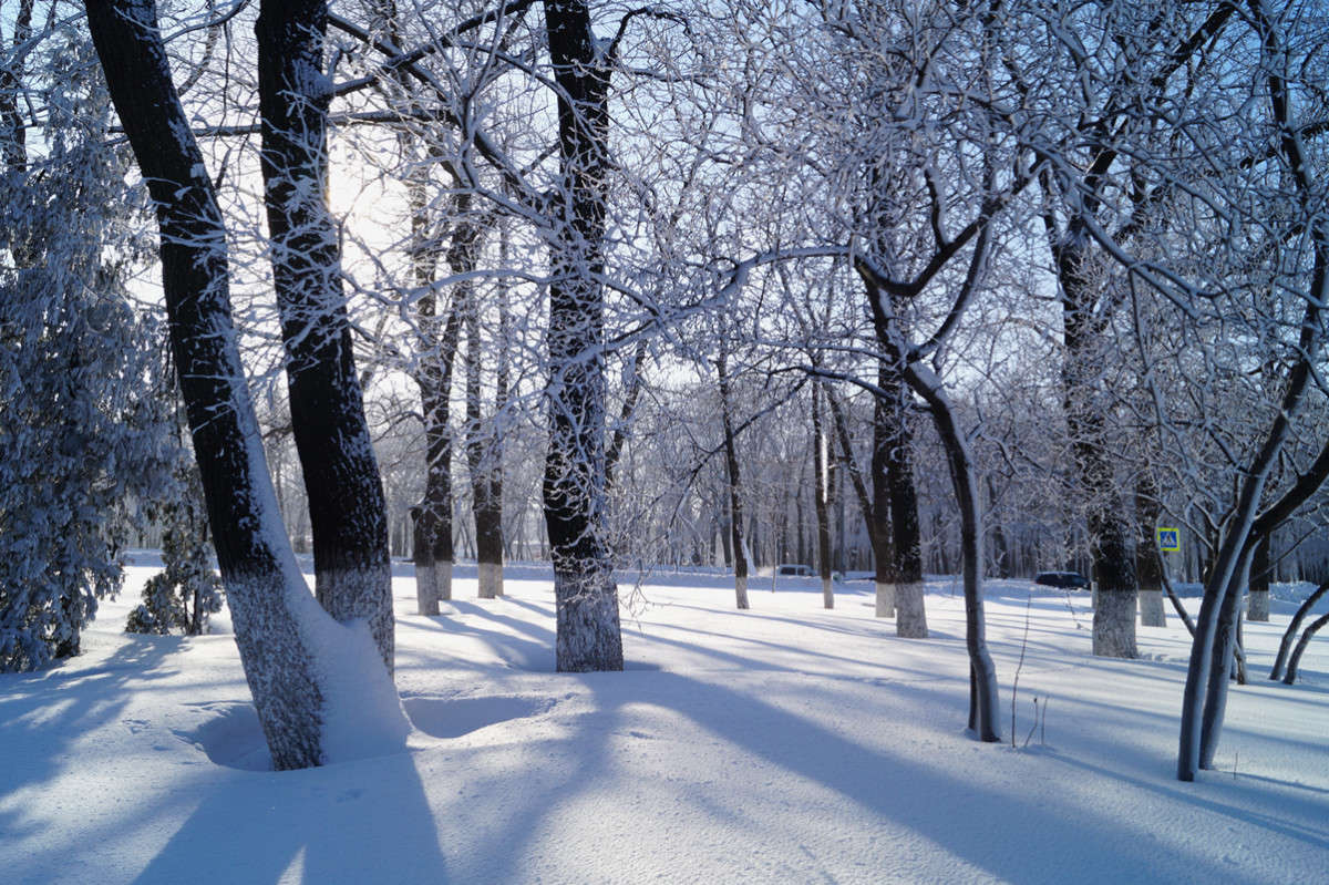 ������ ������� ����� ������  �� PhotoGeek.ru #������ ��� ������� #����� ��������������