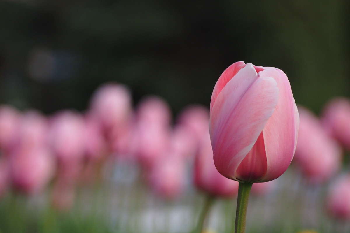 ������ ����� ������  �� PhotoGeek.ru #������ ��� �������