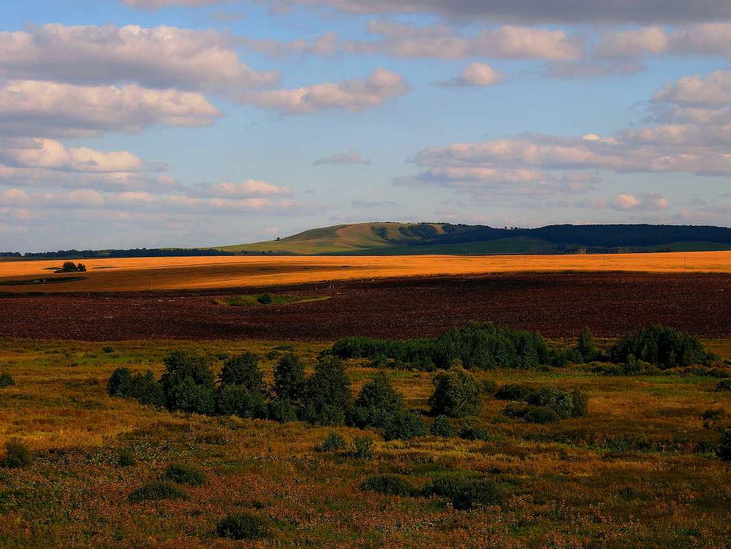 �������� ��������� ������� ����� ������  �� PhotoGeek.ru #������ ��� �������