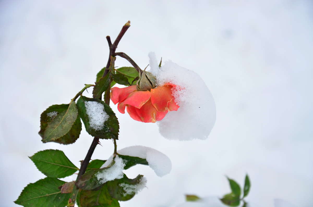 ����� � ������ ����� ����  �� PhotoGeek.ru #������ ��� ������� #����� �������������� #���������