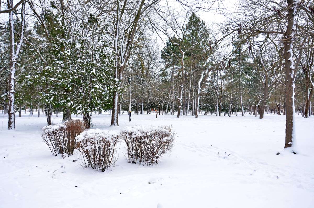 � ����� ����� ����  �� PhotoGeek.ru #����� #������ ��� ������� #���������