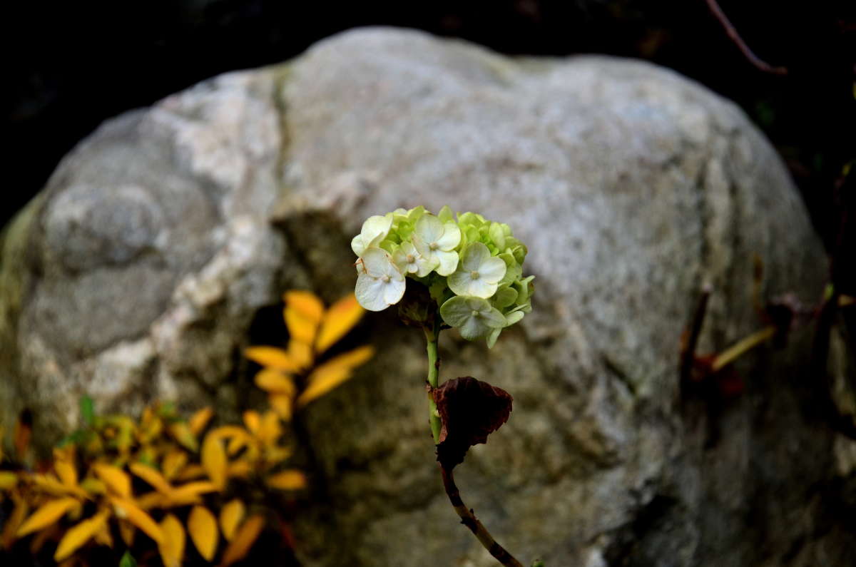 ������ � ������� ����� ����  �� PhotoGeek.ru #������ ��� ������� #����� �������������� #���������