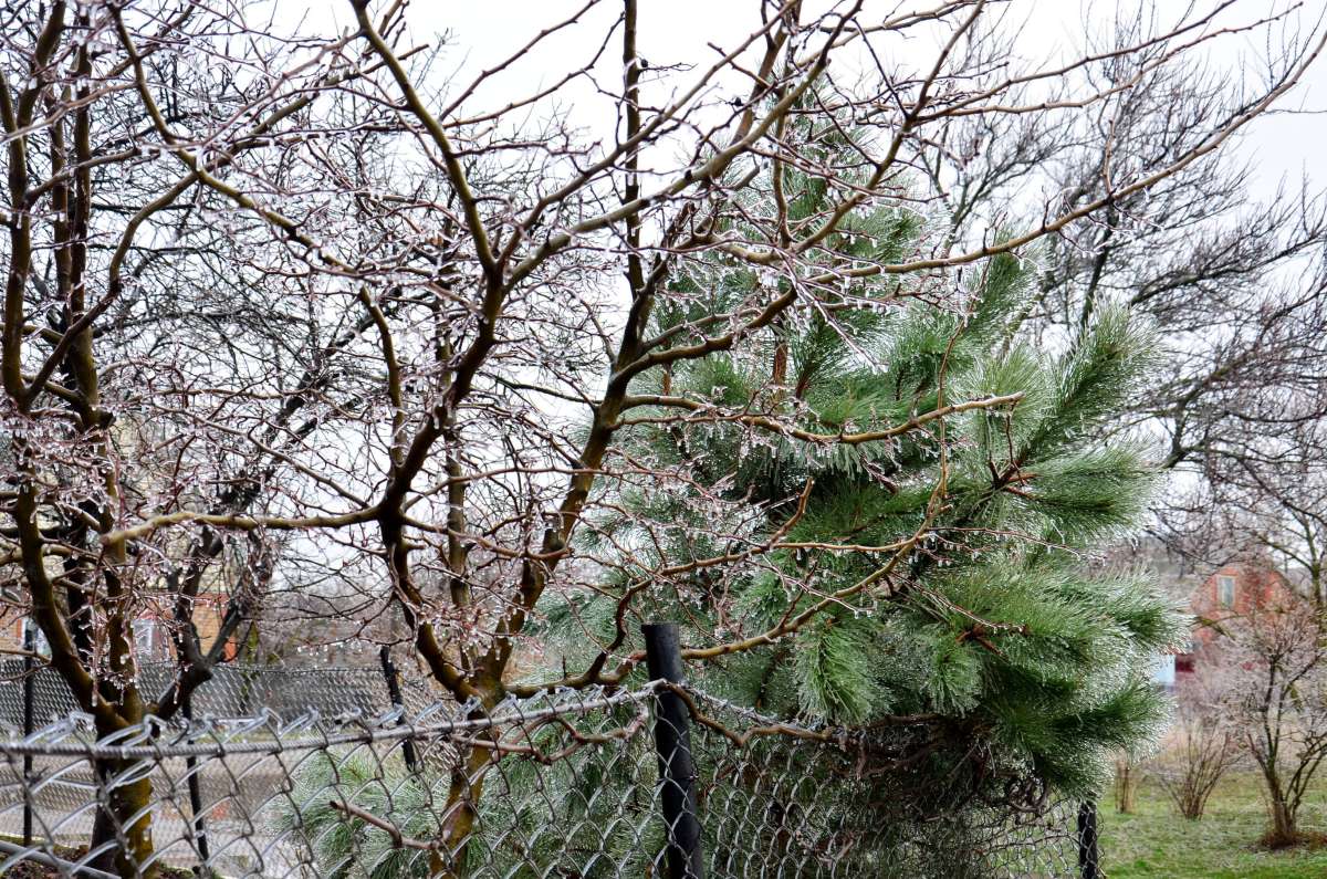 ����������� ����� ����  �� PhotoGeek.ru #������ ��� ������� #���������