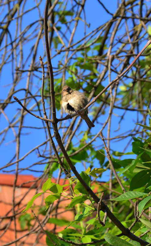 ... ����� ����  �� PhotoGeek.ru #�������� ��� #����� ��� ��� ���������