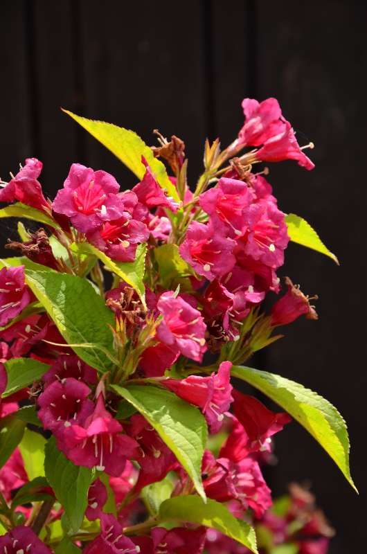 �� ���������� �������� ����� ����  �� PhotoGeek.ru #������ ��� ������� #����� �������������� #���������