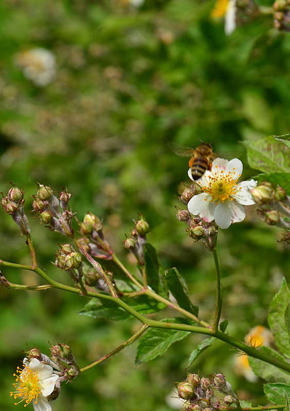 �� �� ����� �������� ����� ����  �� PhotoGeek.ru #����� #���������