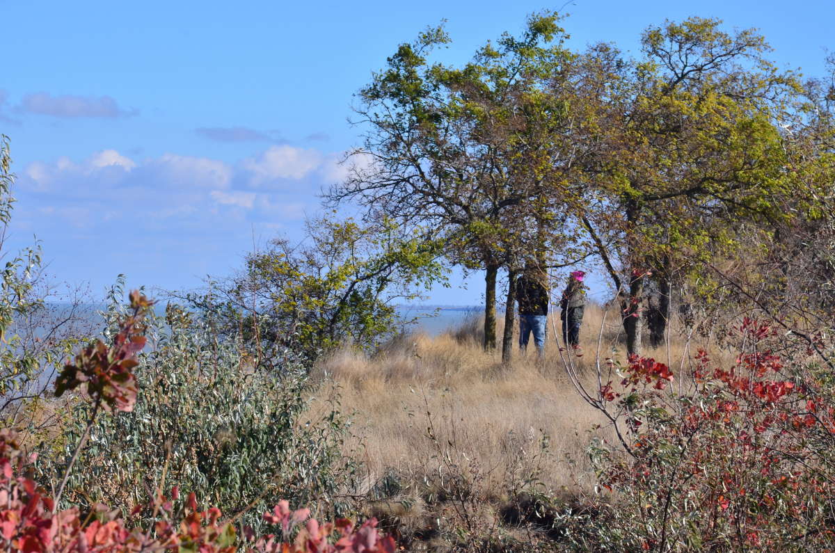 ������� ������ ����� ����  �� PhotoGeek.ru #������ ��� ������� #�������� ���������� #����� �������������� #��������� #�����-����