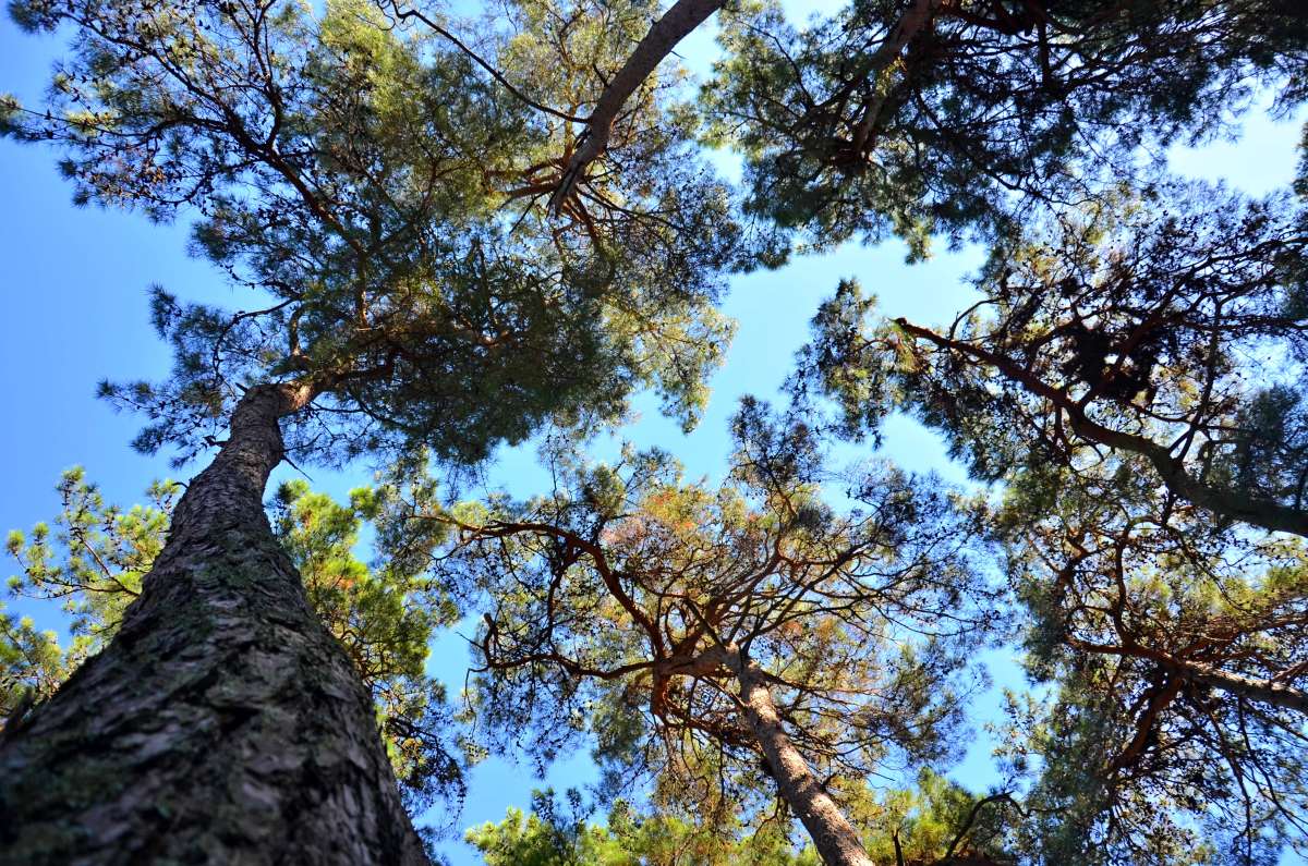 ���������� ����� ����� ����  �� PhotoGeek.ru #������ ��� ������� #����� �������������� #���������