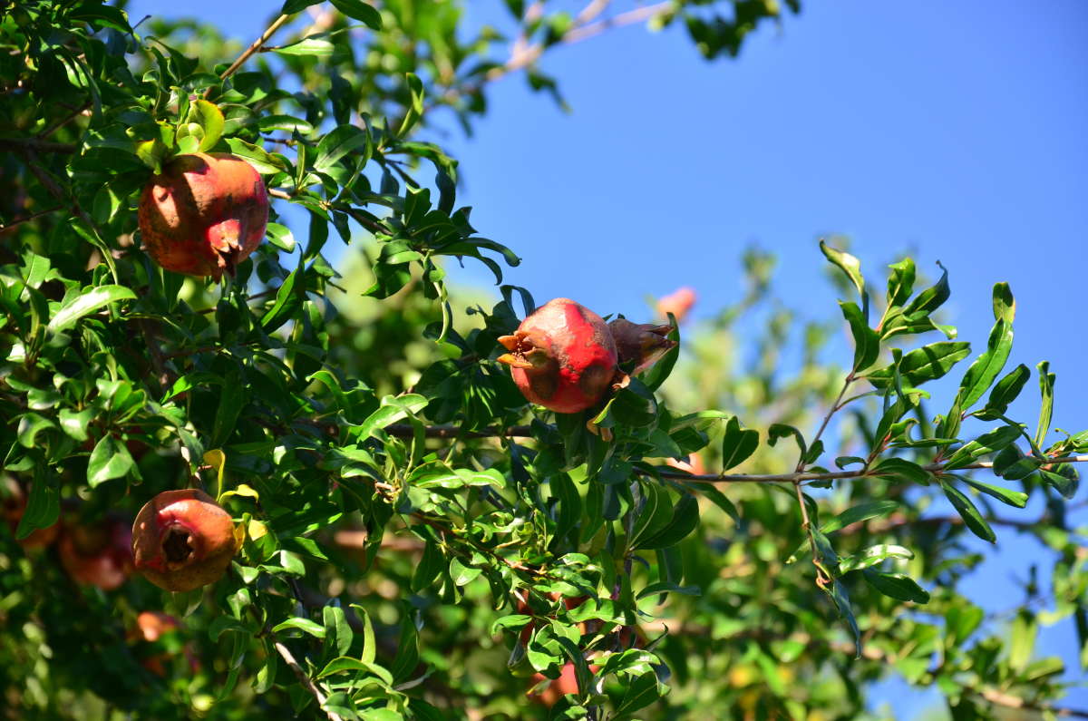 ��������� ������ ����� ����  �� PhotoGeek.ru #������ ��� ������� #����� �������������� #���������