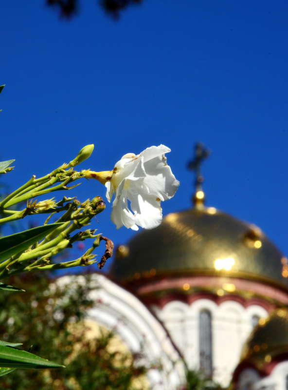 ... ����� ����  �� PhotoGeek.ru #������ ��� ������� #���������