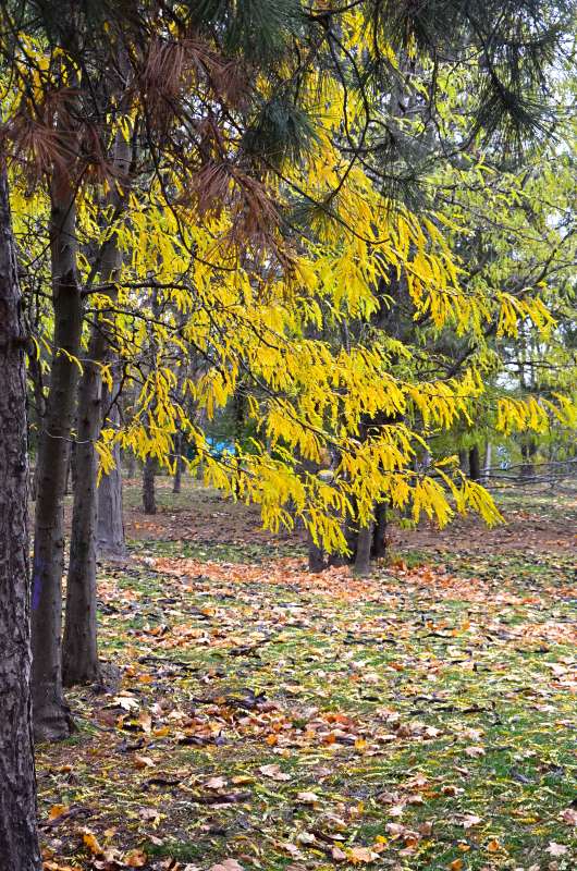 ������� ����� ����  �� PhotoGeek.ru #������ ��� ������� #����� �������������� #���������