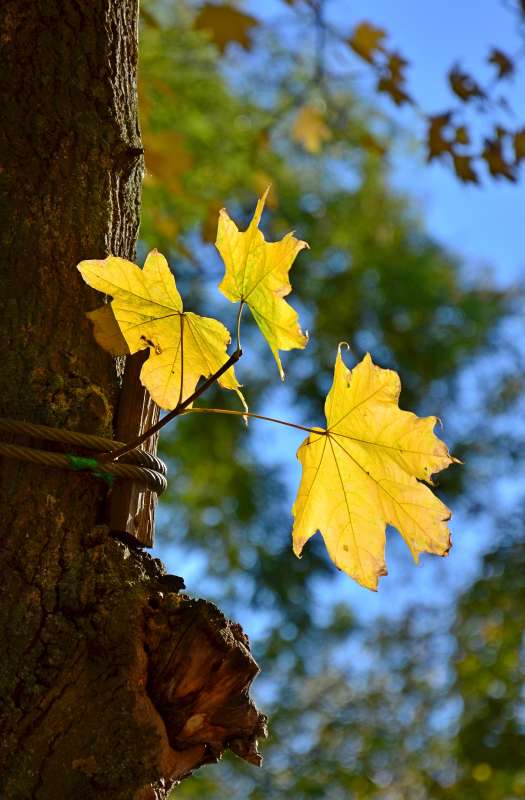 ... ����� ����  �� PhotoGeek.ru #������ ��� ������� #����� �������������� #���������