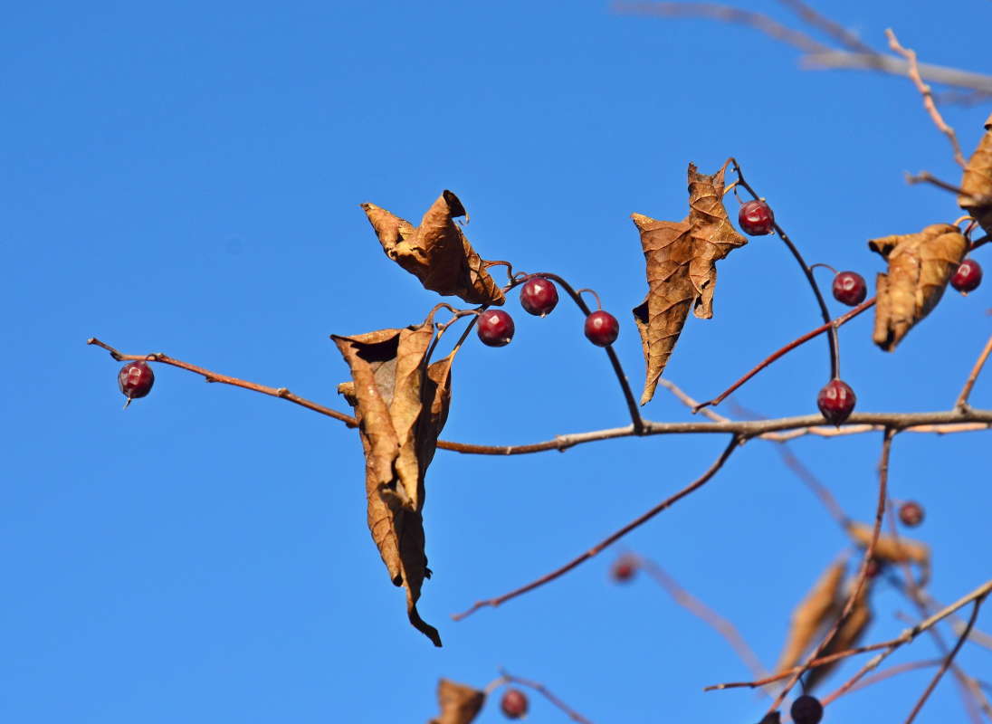 ����� ������ ����� ����  �� PhotoGeek.ru #������ ��� ������� #����� �������������� #���������