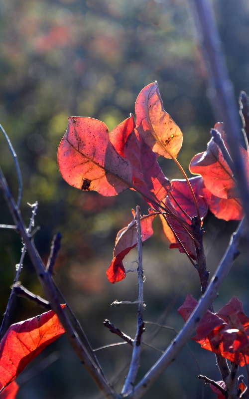 ������ ����� ����� ����  �� PhotoGeek.ru #������ ��� ������� #����� �������������� #���������