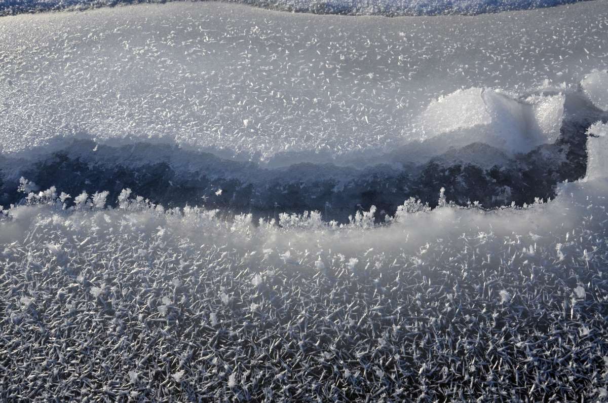 ������� ����� ����  �� PhotoGeek.ru #�������� #Fine Art