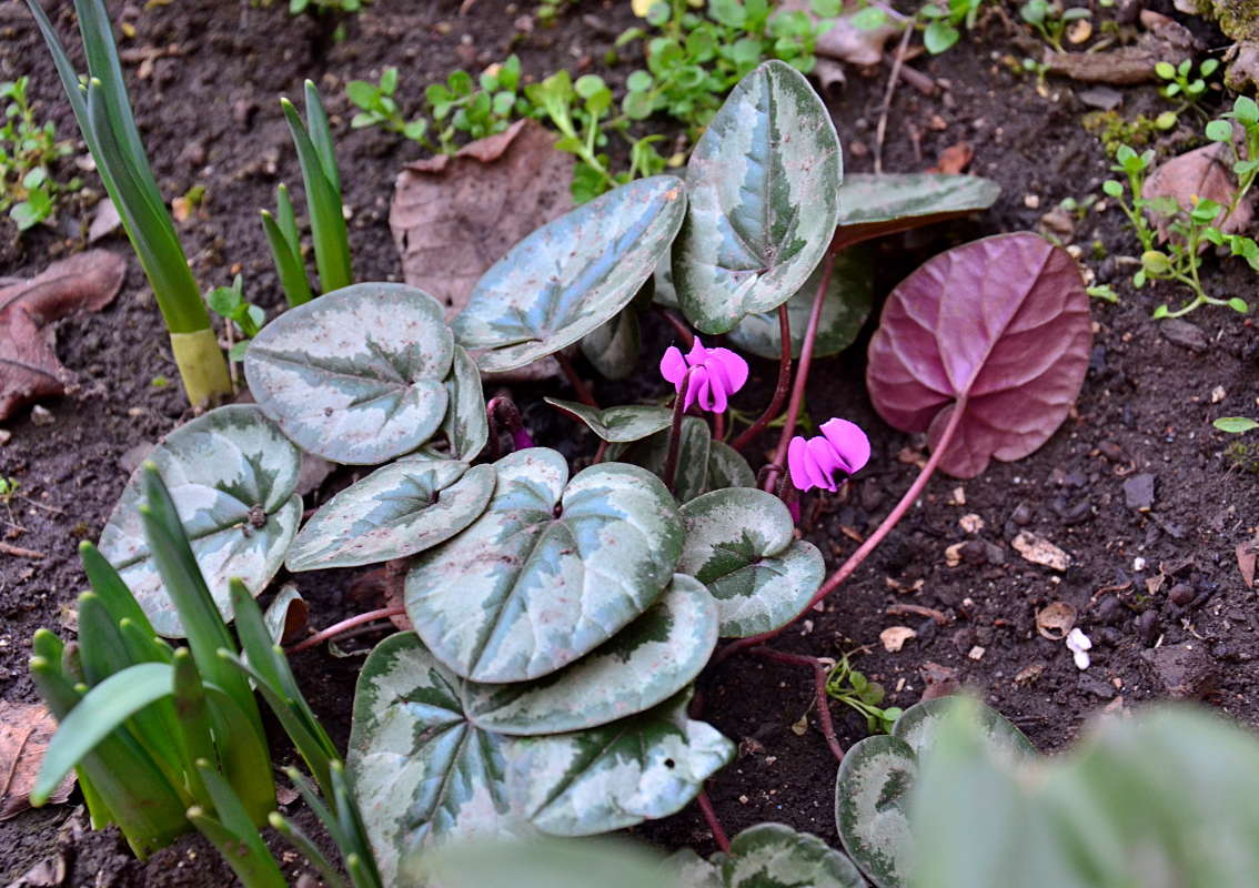 �� ������ ����� ����� ����  �� PhotoGeek.ru #������ ��� ������� #����� �������������� #���������