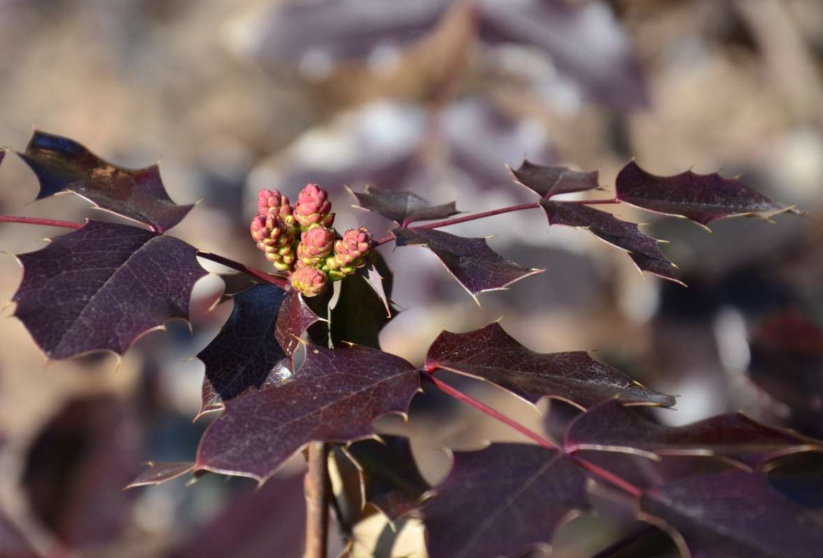 �������� ����� ����  �� PhotoGeek.ru #������ ��� ������� #����� �������������� #���������