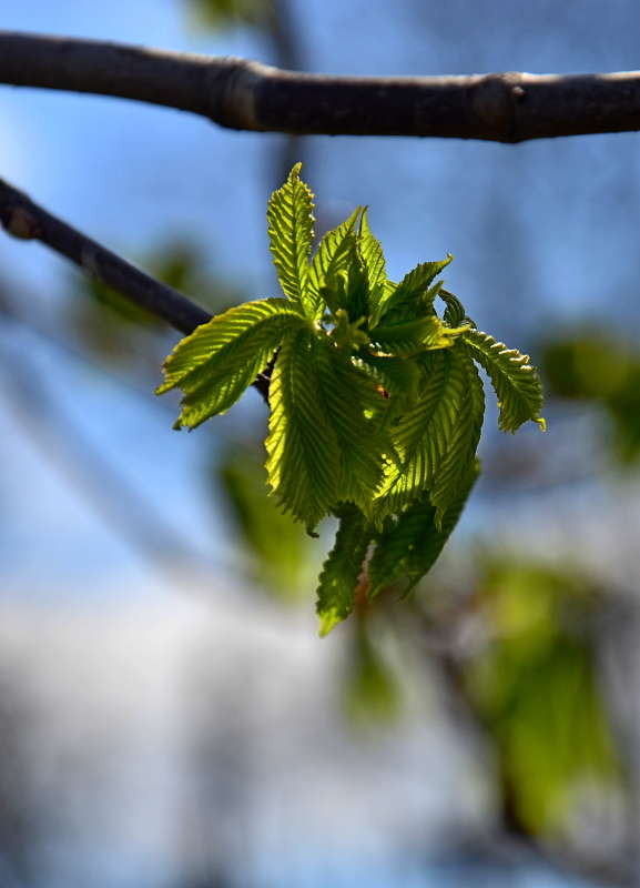 ������ ��������� ���� ����� ����  �� PhotoGeek.ru #������ ��� ������� #����� �������������� #���������
