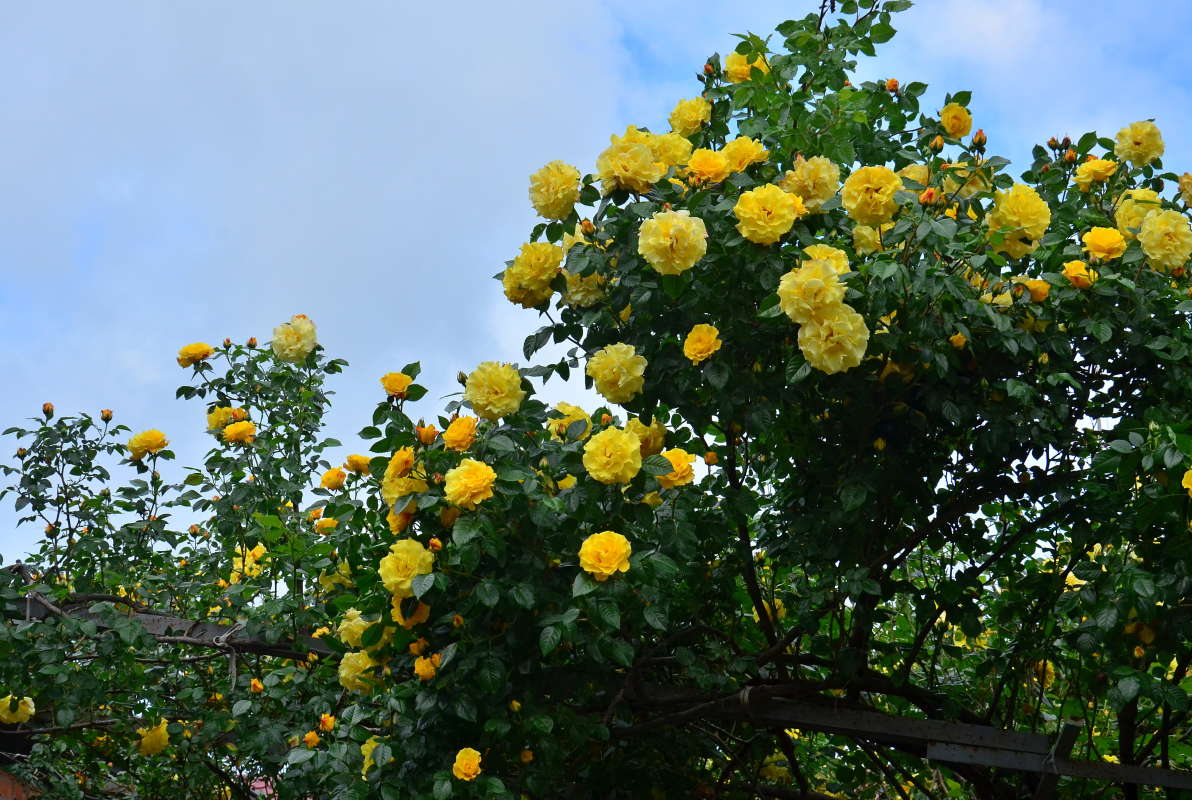 � ��� ���� ����� ����  �� PhotoGeek.ru #������ ��� ������� #����� �������������� #���������