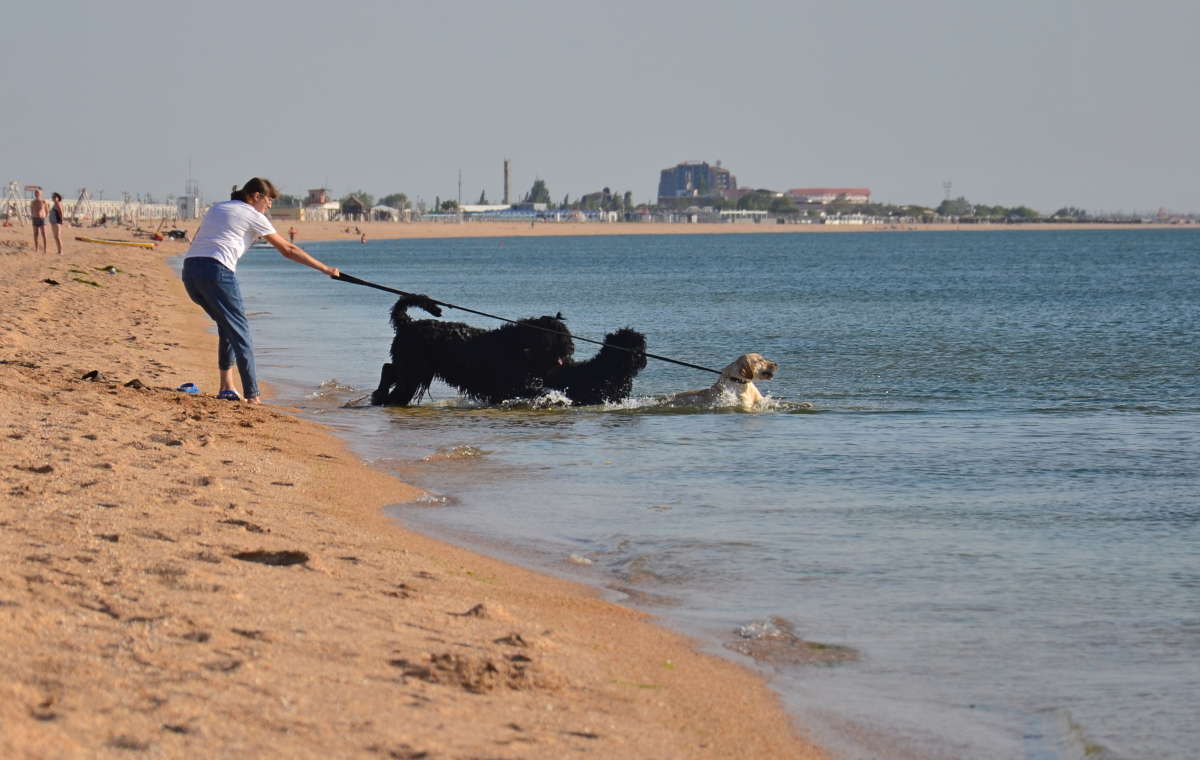 �� ������� ��� ���� ����� ����  �� PhotoGeek.ru #�������� ��� #�������� ���������� #�����-����