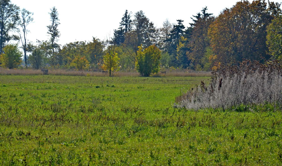 ������ ����� ����� ����  �� PhotoGeek.ru #������ ��� ������� #���������