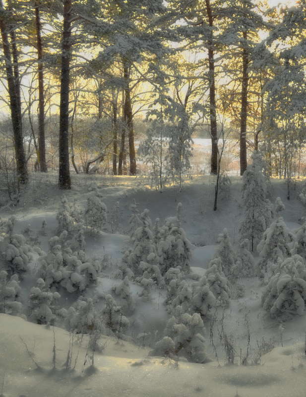 ����� � ���� ����� Mikhail Novikov �� PhotoGeek.ru #������ ��� �������