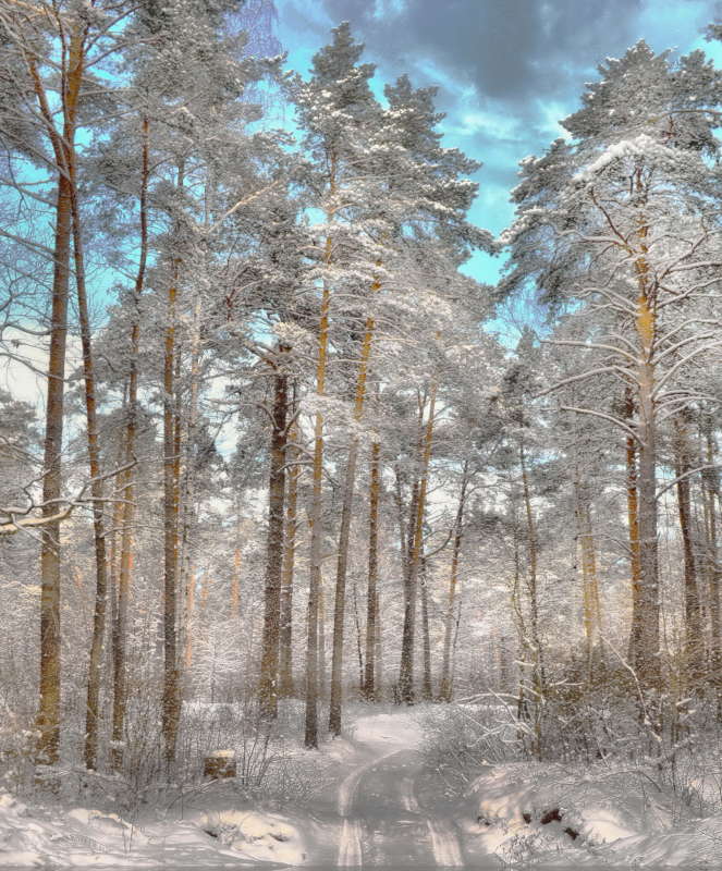 ������ ��� ����� Mikhail Novikov �� PhotoGeek.ru #������ ��� �������