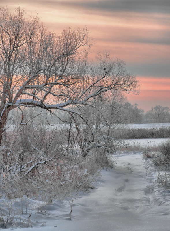 �������� ����� ����� Mikhail Novikov �� PhotoGeek.ru #������ ��� �������