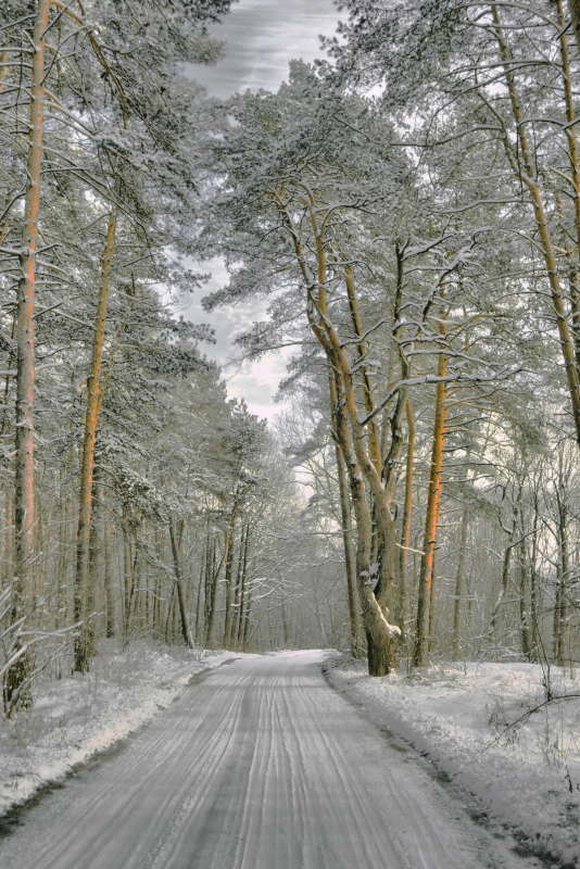 ������ ������ ����� Mikhail Novikov �� PhotoGeek.ru #������ ��� �������