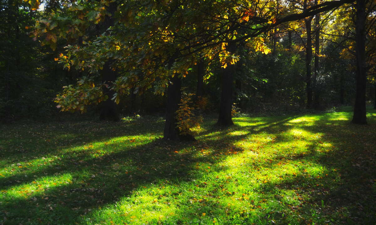 ������� ���� ����� Mikhail Novikov �� PhotoGeek.ru #������ ��� �������