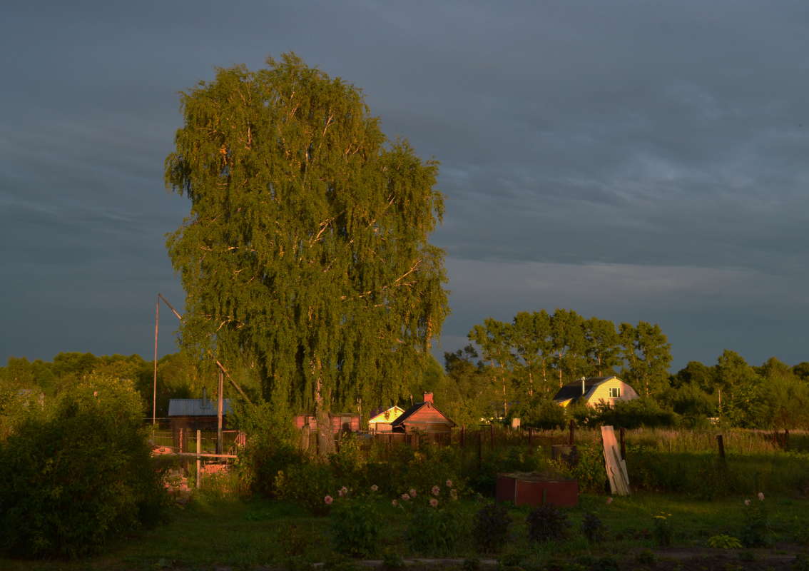 ����� ����� ������ ����� Mikhail Novikov �� PhotoGeek.ru #������ ��� �������