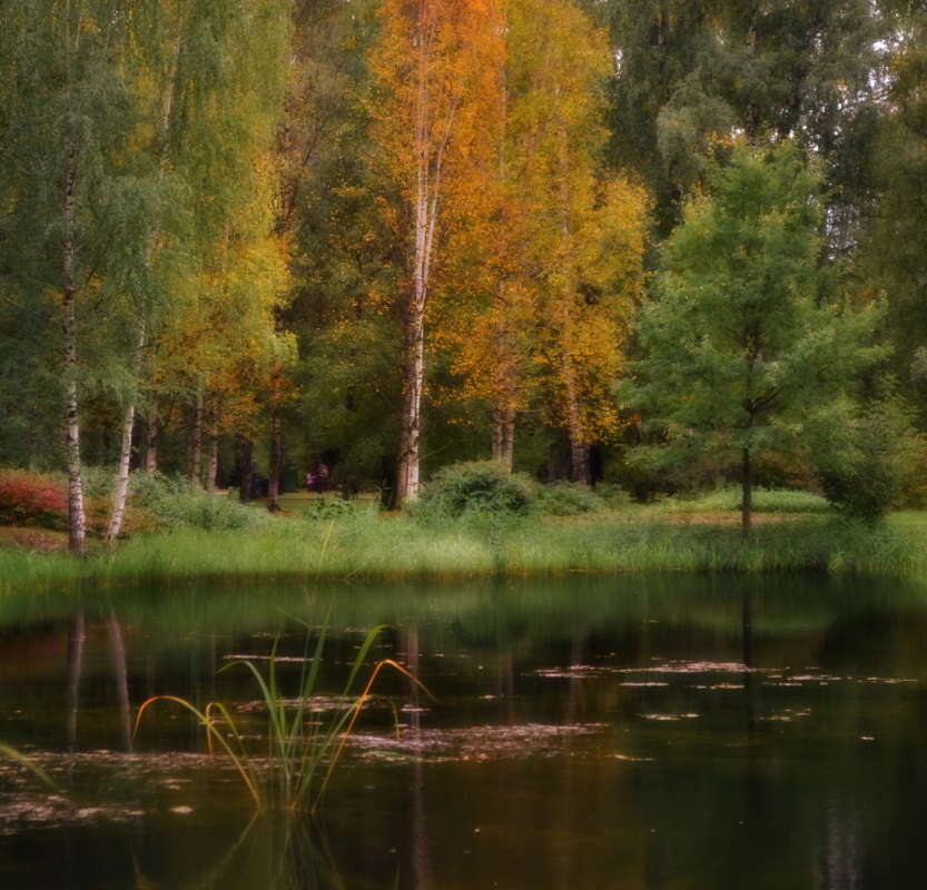 �������� ����� Mikhail Novikov �� PhotoGeek.ru #������ ��� �������